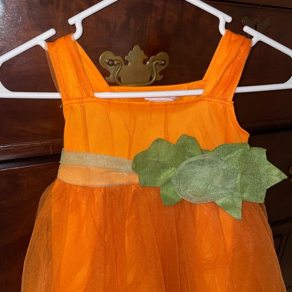 Pottery Barn Pumpkin Costume - Picture 6 of 6